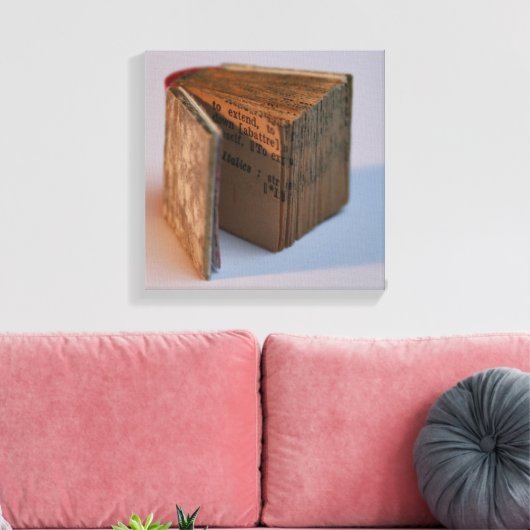 DicofinAngle Engels-Frans Miniatuur Book poster Canvas Afdruk (Insitu (Woonkamer))