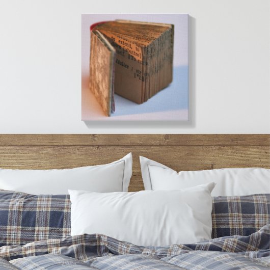 DicofinAngle Engels-Frans Miniatuur Book poster Canvas Afdruk (Insitu (Slaapkamer))