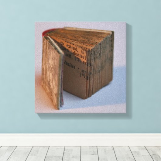 DicofinAngle Engels-Frans Miniatuur Book poster Canvas Afdruk (Insitu (Houten vloer))