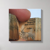 DicofrAngle Miniatuur Book Crayfish Drawing Canvas (Voorkant)
