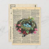 dictionary Art Blue Robin's Eggs in Nest Briefkaart (Voorkant / Achterkant)