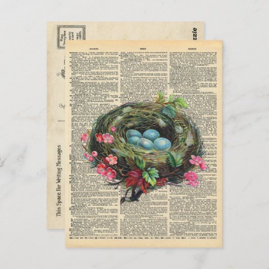 dictionary Art Blue Robin's Eggs in Nest Briefkaart (Voorkant / Achterkant)