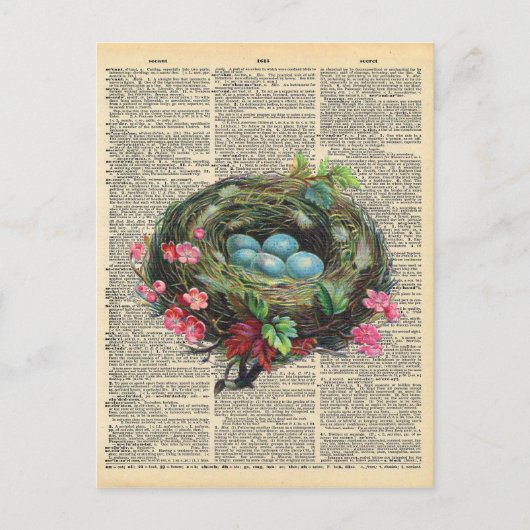 dictionary Art Blue Robin's Eggs in Nest Briefkaart (Voorkant)