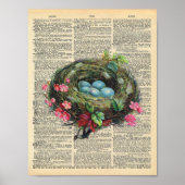  dictionary Art Blue Robin's Eggs in Nest Poster (Voorkant)