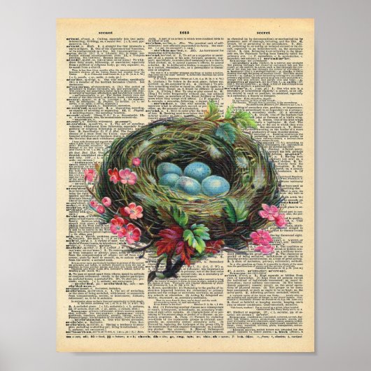  dictionary Art Blue Robin's Eggs in Nest Poster (Voorkant)