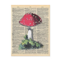  dictionary Art Red Mushroom Fairhouse