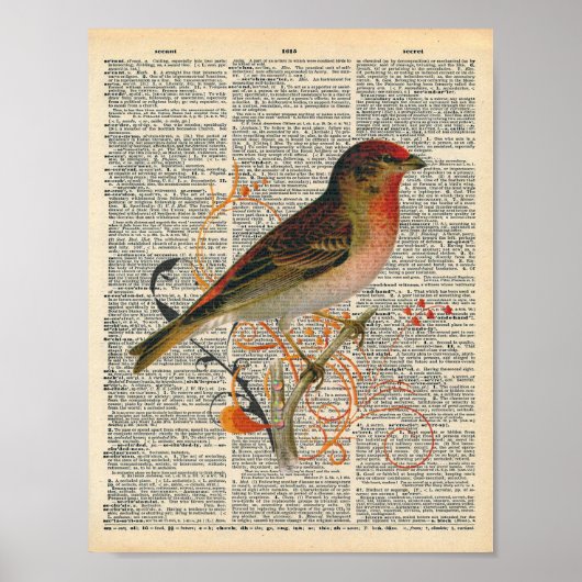  dictionary Art  Red Oranje Bird Art Poster (Voorkant)