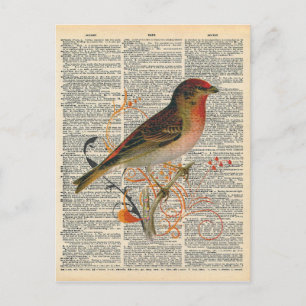 dictionary Art Red Oranje Bird Briefkaart