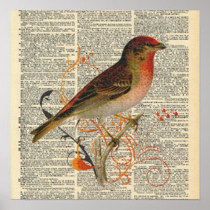dictionary Bird Poster