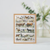 Dictionele illustratie van zoogdieren briefkaart (Staand voorkant)