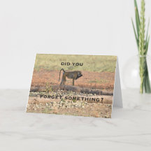 Did You Forget Something?