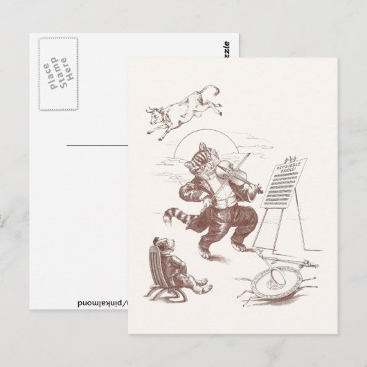 Diddle Diddle  Illustratie Briefkaart (Voorkant / Achterkant)