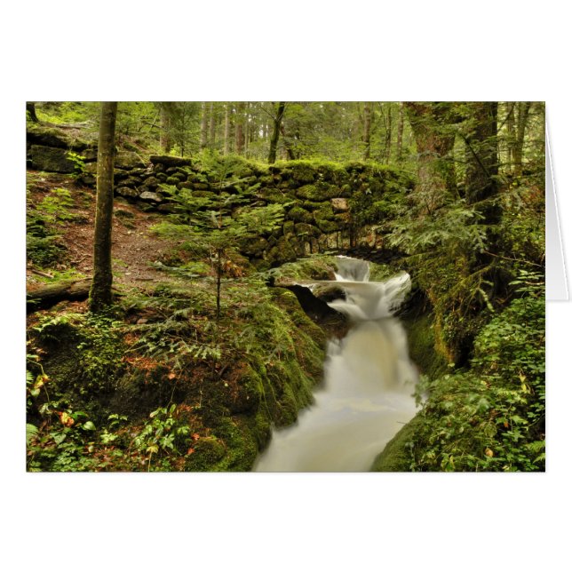 die alte Brücke Grusskarte (Voorkant Horizontaal)