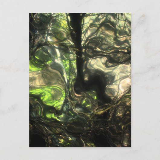 Die avond in Max's Room.. een bos grow & Grew. Briefkaart (Voorkant)