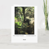 Die avond in Max's Room.. een bos grow & Grew. Kaart (Achterkant)