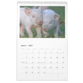 Die biggen - 2017 Animal Wall Calendar Kalender (Mar 2027)