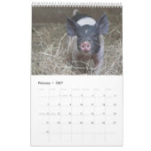 Die biggen - 2017 Animal Wall Calendar Kalender (Feb 2027)