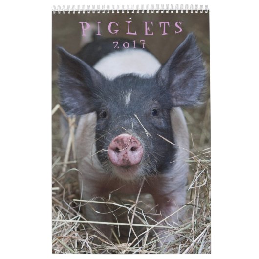 Die biggen - 2017 Animal Wall Calendar Kalender (Hoes)