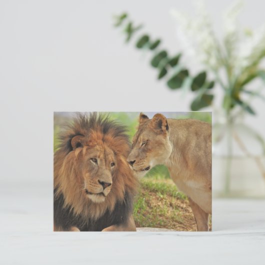 die  briefkaart (Staand voorkant)