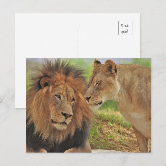 die  briefkaart (Voorkant / Achterkant)