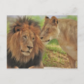 die  briefkaart (Voorkant)