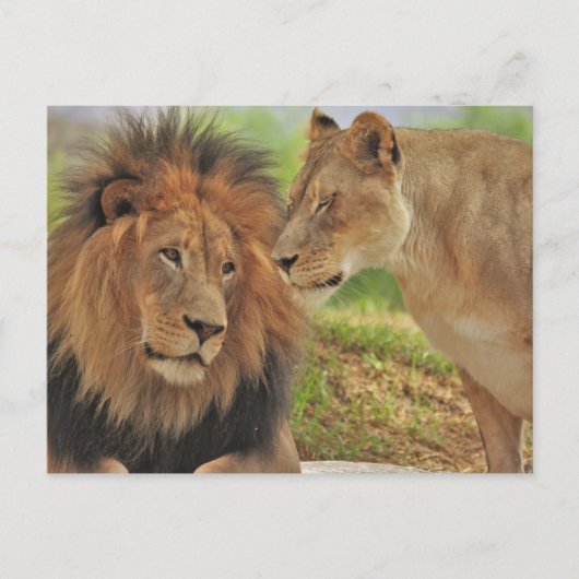 die  briefkaart (Voorkant)