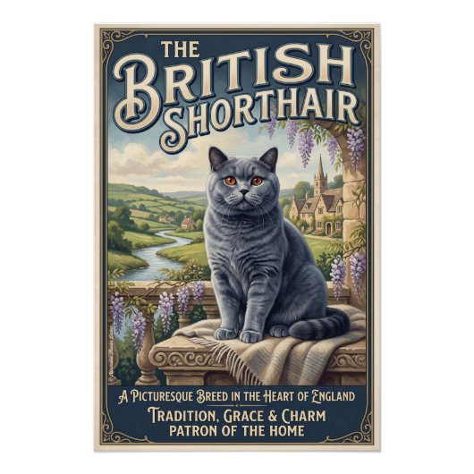 Die Britisch Kurzhaar  Perfect Poster (Voorkant)