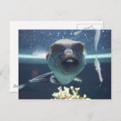 Die Bucktandvis Briefkaart (Voorkant / Achterkant)