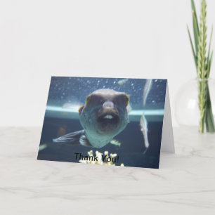 Die Bucktooth Fish Kaart