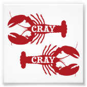 Die Cray Crayfish Crustacean Foto Afdruk (Voorkant)