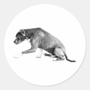 Die-Cut Pawshake—Pitbull Mix Ronde Sticker