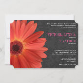 Die Cut Pink Oranje Gerber Daisy Wedding Kaart (Voorkant)