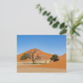 Die Dünen des Sossusvlei in Namibia Briefkaart (Staand voorkant)