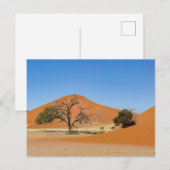 Die Dünen des Sossusvlei in Namibia Briefkaart (Voorkant / Achterkant)