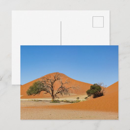 Die Dünen des Sossusvlei in Namibia Briefkaart (Voorkant / Achterkant)