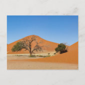 Die Dünen des Sossusvlei in Namibia Briefkaart (Voorkant)