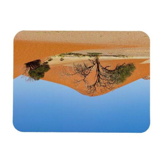 Die Dünen des Sossusvlei in Namibië Magneet (Horizontaal)