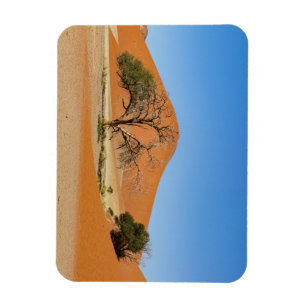 Die Dünen des Sossusvlei in Namibië Magneet