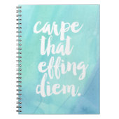 Die Effing Diem | Aqua Notitieboek (Voorkant)