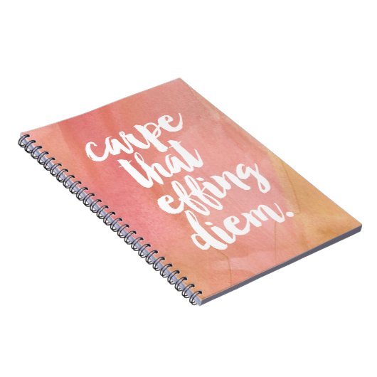 Die Effing Diem | ROOS Notitieboek (Rechterzijde)