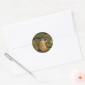Die Fox sterven Ronde Sticker (Envelop)