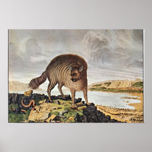 "Die gestreifte Hyäne" Poster (Voorkant)