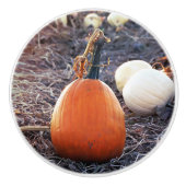 Die herfstgevoeling keramische knop (Voorkant)