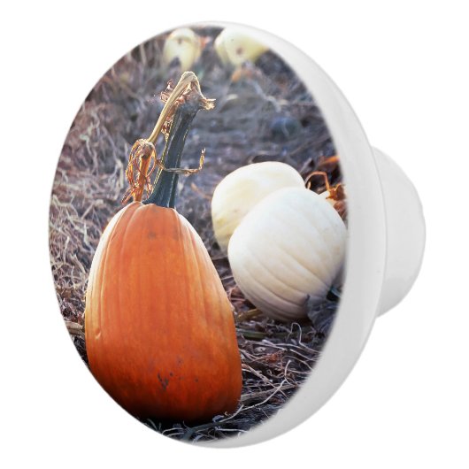 Die herfstgevoeling keramische knop (Rechts)
