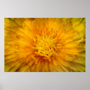 Die kleur geel poster