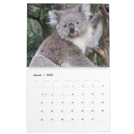 Die Koalas Kalender (Jan 2026)