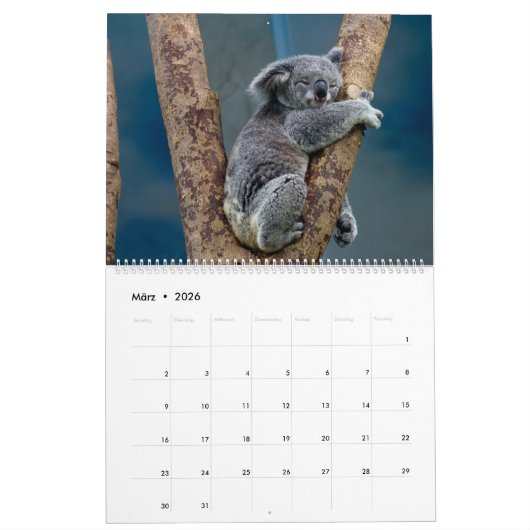 Die Koalas Kalender (Mar 2026)
