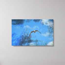 Die Möwe Canvas Afdruk