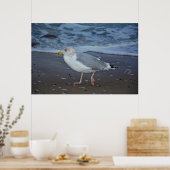 Die Möwe Poster (Keuken)