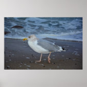 Die Möwe Poster (Voorkant)